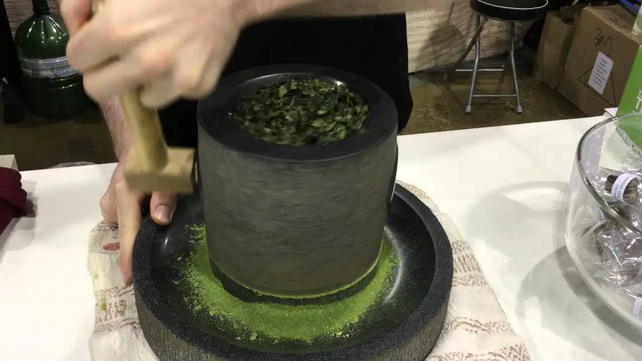 proceso de elaboración del té matcha tea market maestros del té